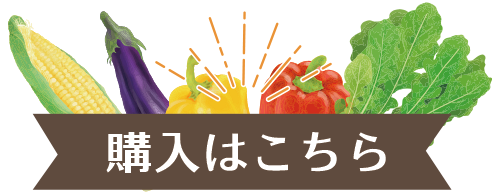 購入はこちら
